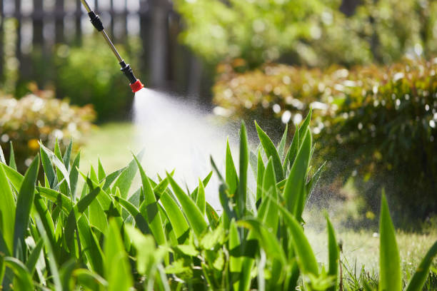 24/7 Emergency Ant Control experts in Morris, IL